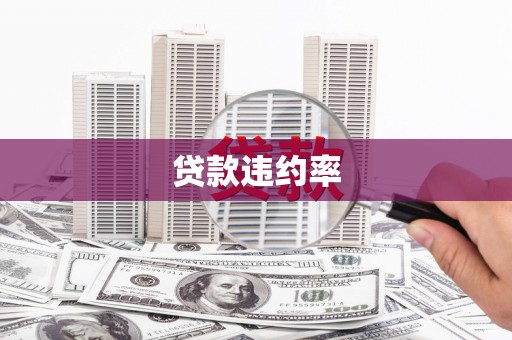 安康贷款违约率