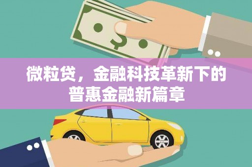 安康微粒贷，金融科技革新下的普惠金融新篇章