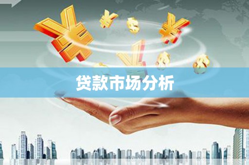 安康贷款市场分析