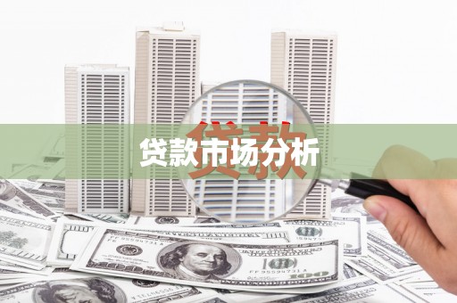 安康贷款市场分析
