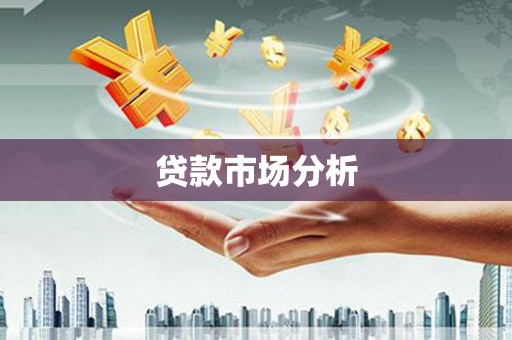 安康贷款市场分析