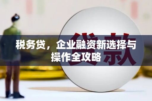 安康税务贷，企业融资新选择与操作全攻略