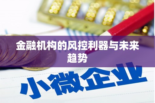 安康金融机构的风控利器与未来趋势