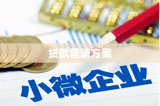 安康贷款营销方案
