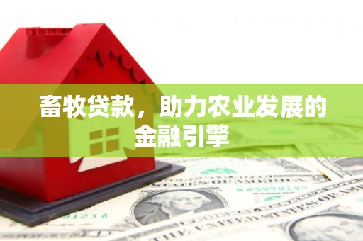 安康畜牧贷款，助力农业发展的金融引擎