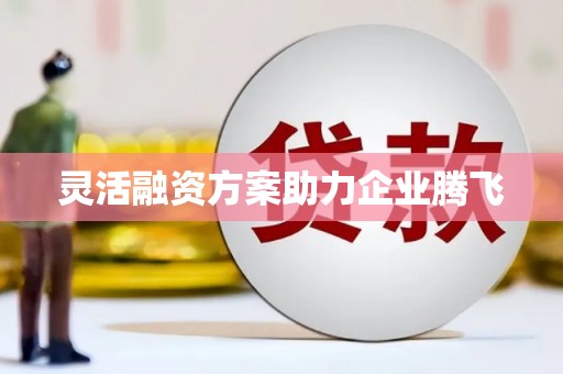 安康灵活融资方案助力企业腾飞