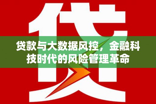 安康贷款与大数据风控，金融科技时代的风险管理革命