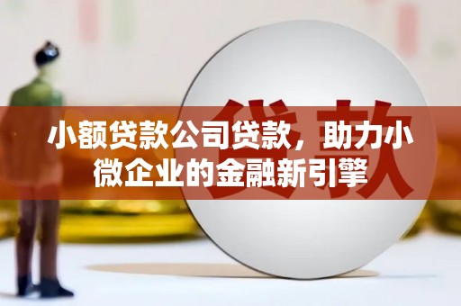安康小额贷款公司贷款，助力小微企业的金融新引擎
