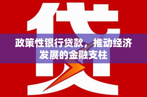 安康政策性银行贷款，推动经济发展的金融支柱