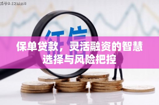 安康保单贷款，灵活融资的智慧选择与风险把控
