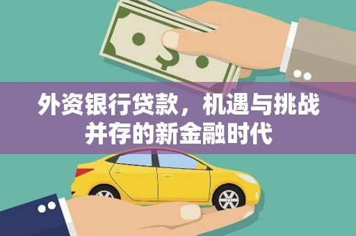 安康外资银行贷款，机遇与挑战并存的新金融时代