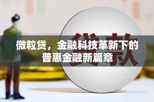 安康微粒贷，金融科技革新下的普惠金融新篇章