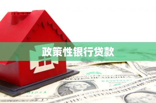 安康政策性银行贷款