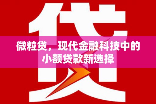 安康微粒贷，现代金融科技中的小额贷款新选择