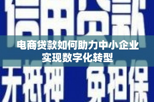 安康电商贷款如何助力中小企业实现数字化转型
