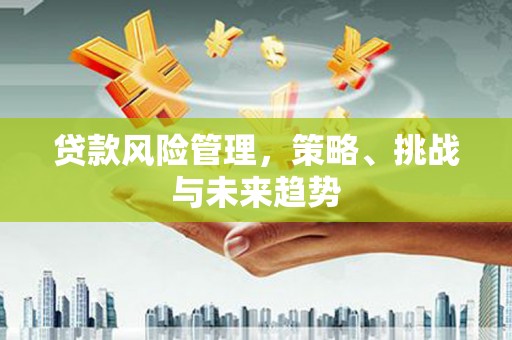 安康贷款风险管理，策略、挑战与未来趋势