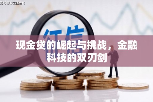 安康现金贷的崛起与挑战，金融科技的双刃剑