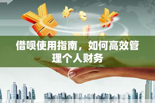 安康借呗使用指南，如何高效管理个人财务