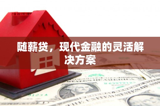 安康随薪贷，现代金融的灵活解决方案