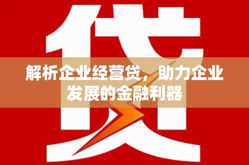 安康解析企业经营贷，助力企业发展的金融利器