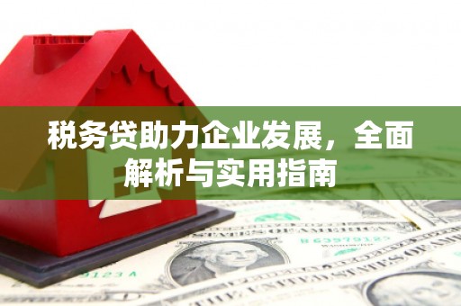 安康税务贷助力企业发展，全面解析与实用指南