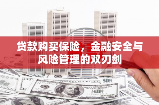 安康贷款购买保险，金融安全与风险管理的双刃剑