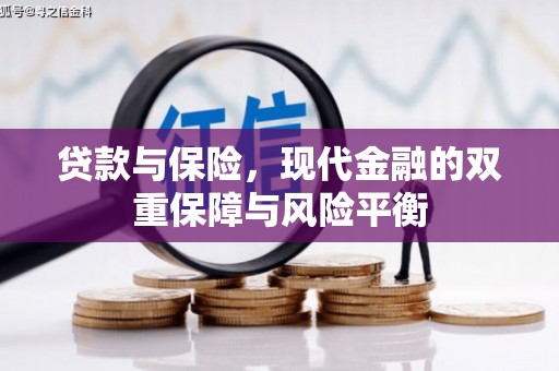 安康贷款与保险，现代金融的双重保障与风险平衡