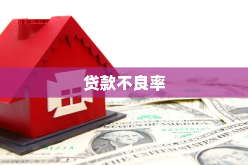安康贷款不良率