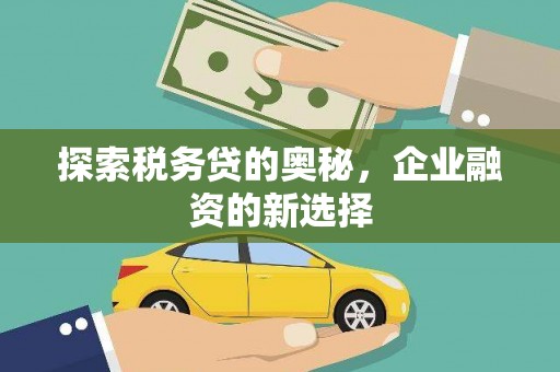 安康探索税务贷的奥秘，企业融资的新选择