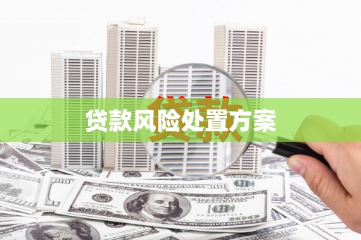 安康贷款风险处置方案