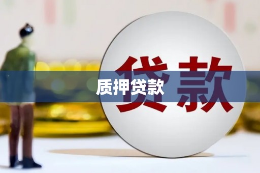安康质押贷款