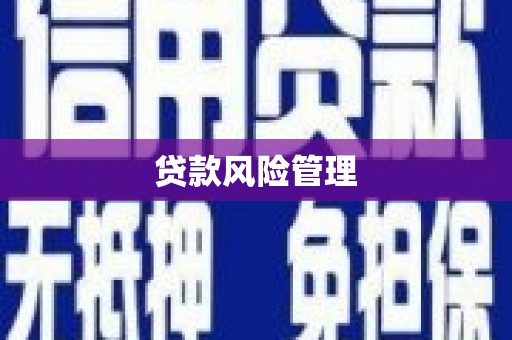 安康贷款风险管理