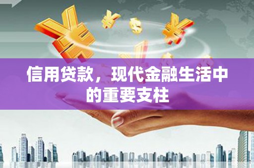 安康信用贷款，现代金融生活中的重要支柱