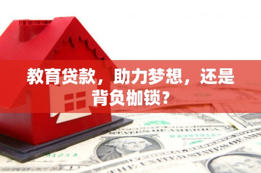 安康教育贷款，助力梦想，还是背负枷锁？