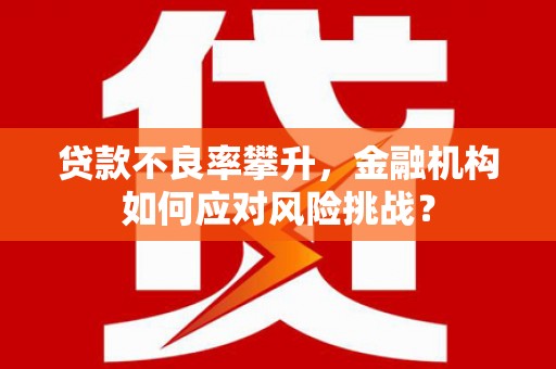 安康贷款不良率攀升，金融机构如何应对风险挑战？