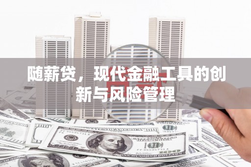 安康随薪贷，现代金融工具的创新与风险管理