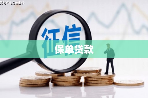 安康保单贷款