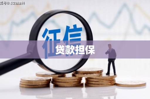 安康贷款担保