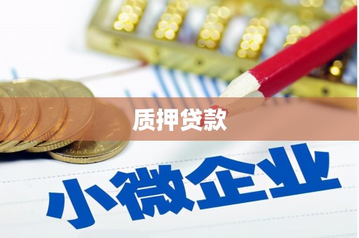 安康质押贷款