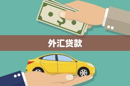 安康外汇贷款