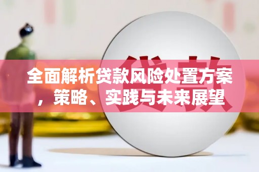安康全面解析贷款风险处置方案，策略、实践与未来展望