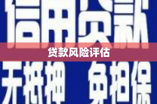 安康贷款风险评估
