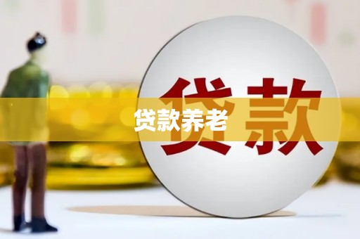 安康贷款养老