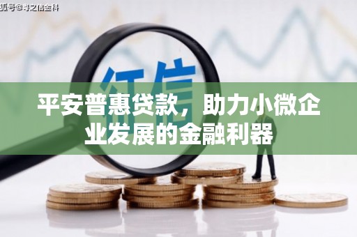 安康平安普惠贷款，助力小微企业发展的金融利器
