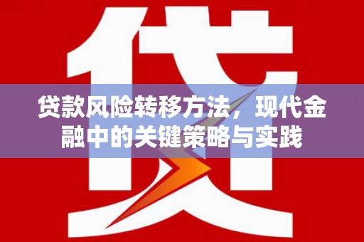 安康贷款风险转移方法，现代金融中的关键策略与实践