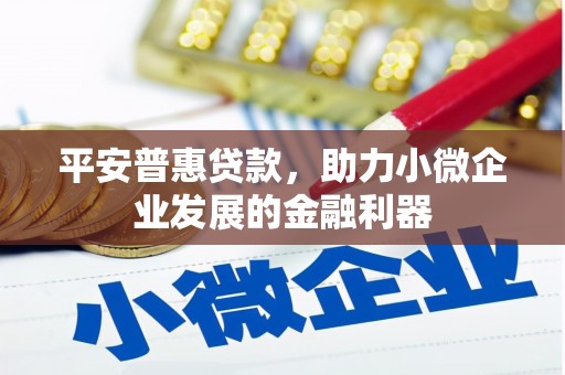 安康平安普惠贷款，助力小微企业发展的金融利器