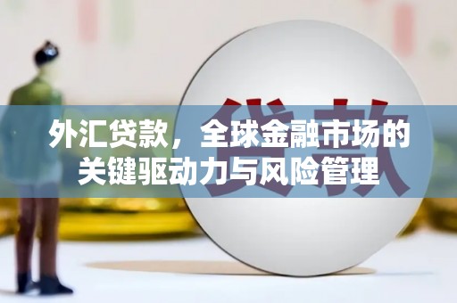 安康外汇贷款，全球金融市场的关键驱动力与风险管理