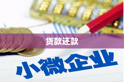 安康贷款还款