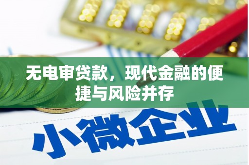 安康无电审贷款，现代金融的便捷与风险并存