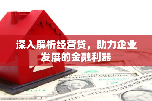 安康深入解析经营贷，助力企业发展的金融利器